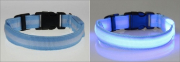 LED Hundehalsband